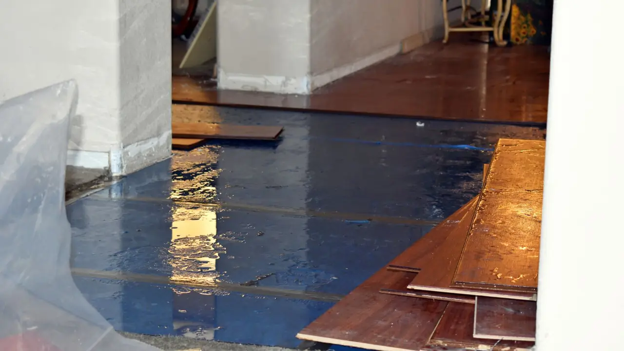 Lifted hardwood planks over a wet subfloor after water damage